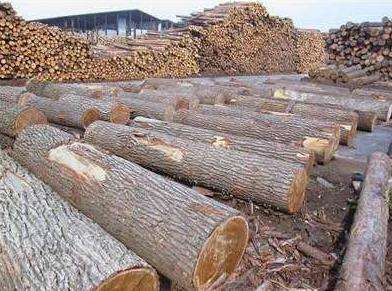 ����ľ�Ľ��ڱ���