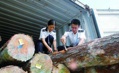 ľ�Ľ��ڴ���