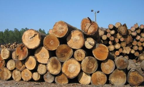 ľ�Ľ������