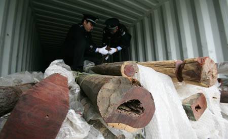 �Ϻ�ľ�Ľ��ڱ��ع�˾