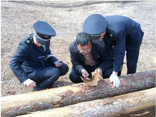 ����ľ�Ľ��ڱ��ع�˾